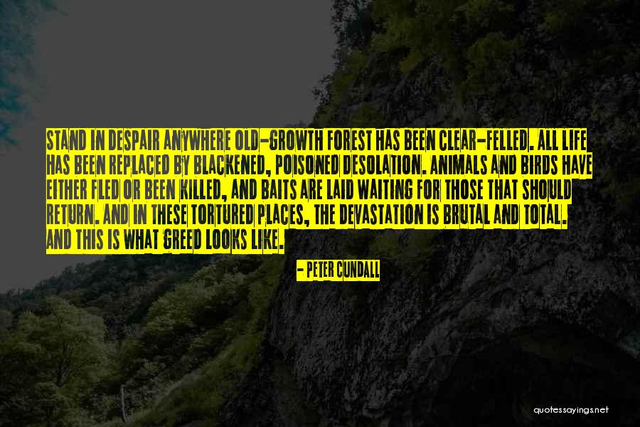Abra Os Imagens Quotes By Peter Cundall Abra Os Imagens Quotes By Peter Cundall