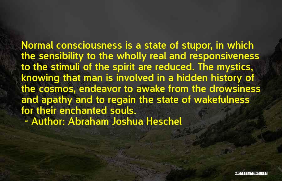 Abraham Joshua Heschel Quotes 82686