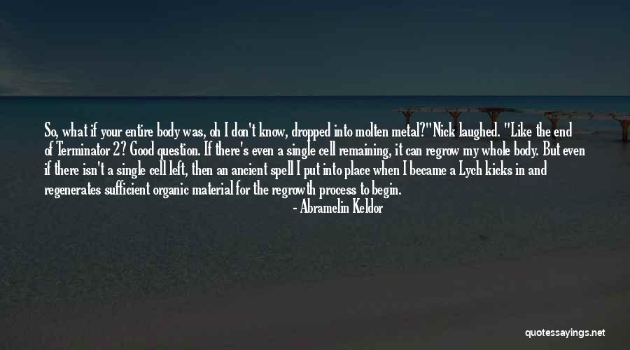 Abramelin Quotes By Abramelin Keldor Abramelin Quotes By Abramelin Keldor