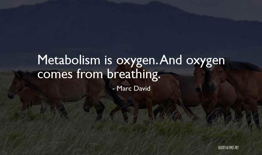 Abramovich Yacht Quotes By Marc David