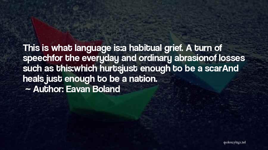 Abrasion Quotes By Eavan Boland