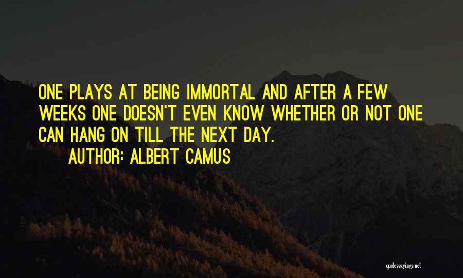 Abrazo West Quotes By Albert Camus