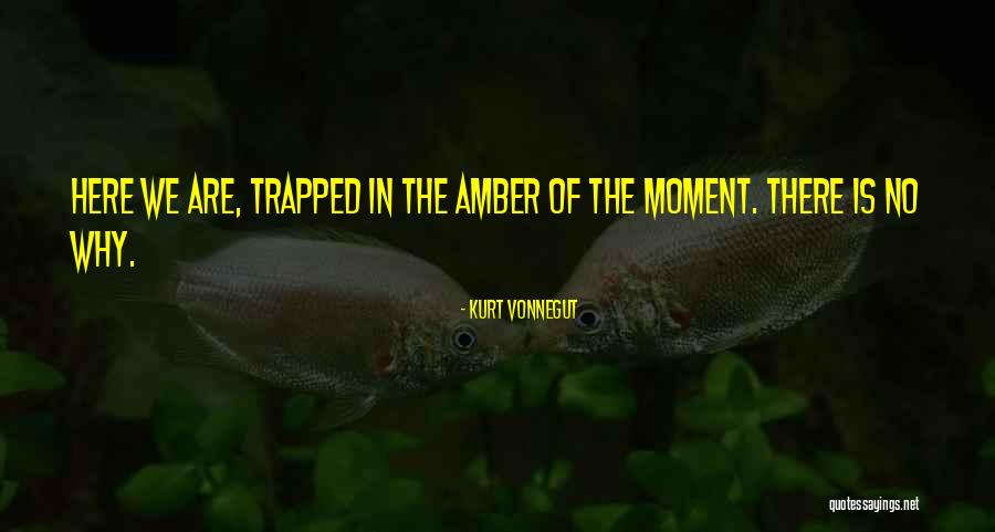 Abreviatura De Tecnologo Quotes By Kurt Vonnegut Abreviatura De Tecnologo Quotes By Kurt Vonnegut