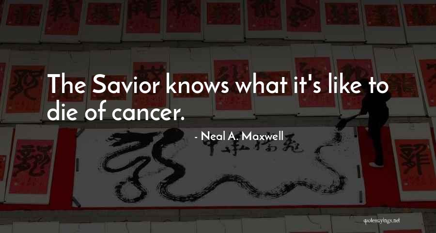 Abreviaturas De Enfermeria Quotes By Neal A. Maxwell Abreviaturas De Enfermeria Quotes By Neal A. Maxwell
