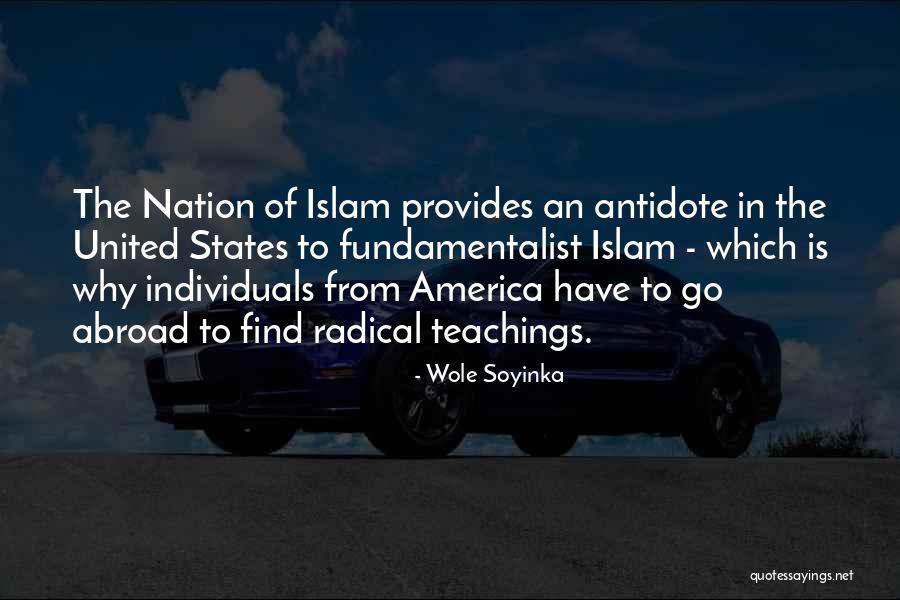 Abroad In America Quotes By Wole Soyinka Abroad In America Quotes By Wole Soyinka