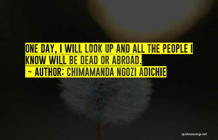 Abroad Life Quotes By Chimamanda Ngozi Adichie