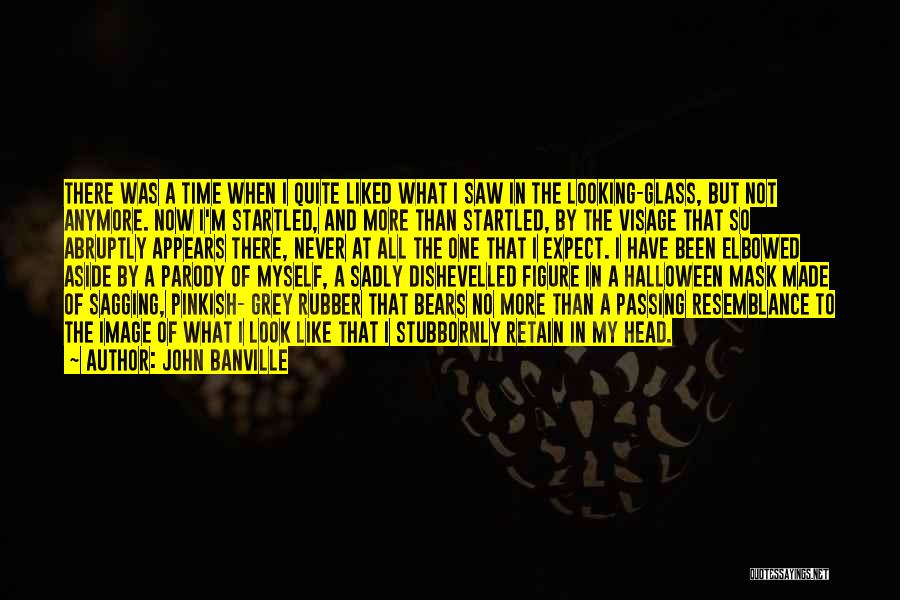 Abruptly Quotes By John Banville