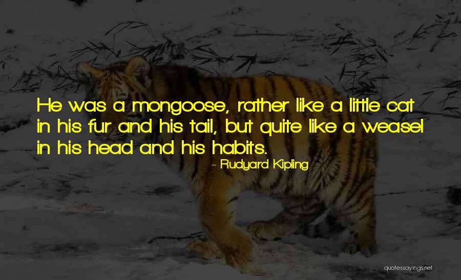 Abruptness Synonym Quotes By Rudyard Kipling Abruptness Synonym Quotes By Rudyard Kipling