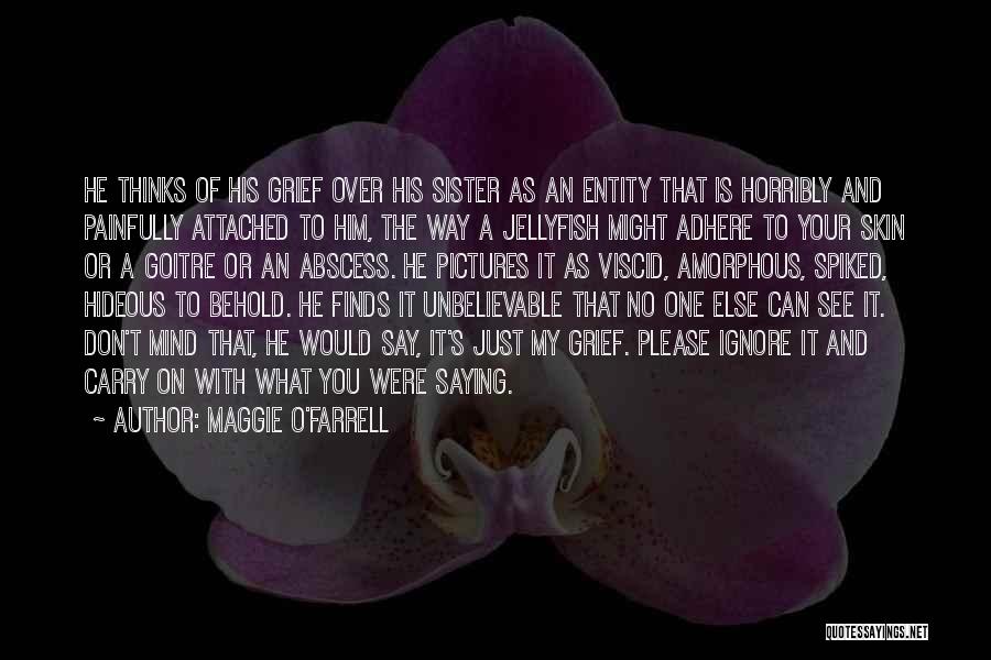 Abscess Quotes By Maggie O'Farrell