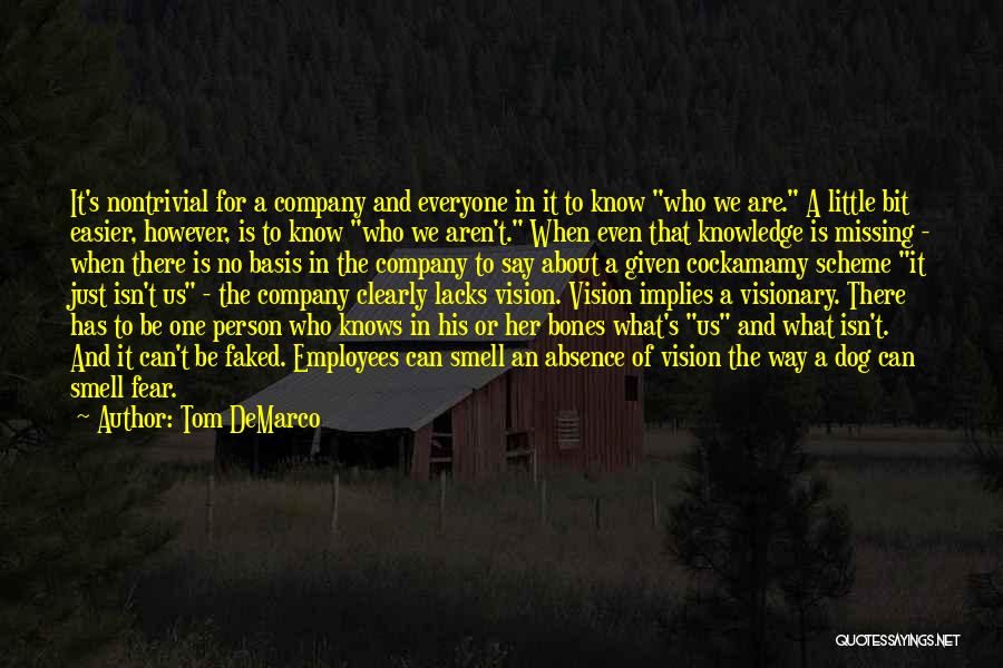 Absence And Missing Someone Quotes By Tom DeMarco