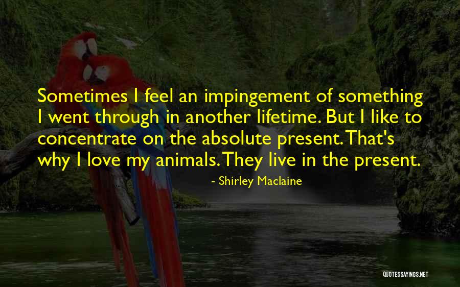 Absolute Love Quotes By Shirley Maclaine