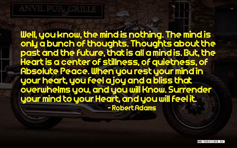 Absolute Peace Quotes By Robert Adams