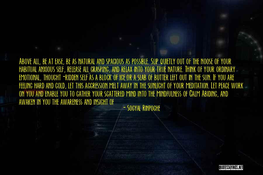Absolute Self Quotes By Sogyal Rinpoche Absolute Self Quotes By Sogyal Rinpoche