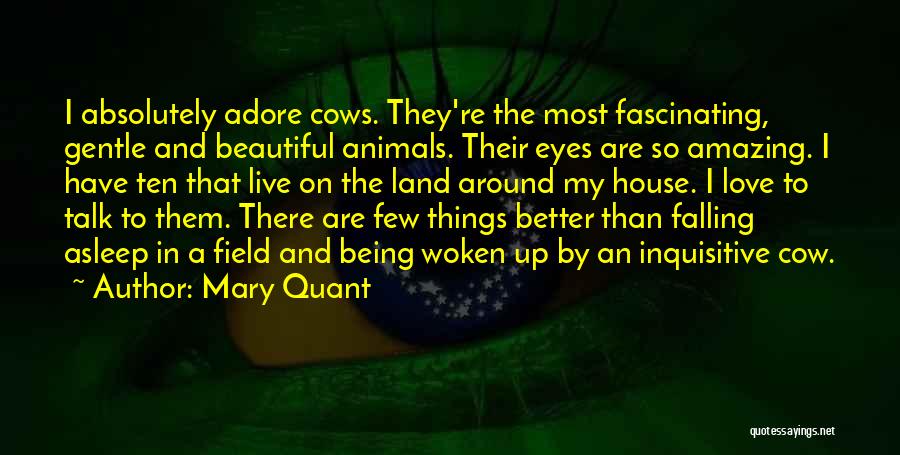 Absolutely Beautiful Love Quotes By Mary Quant