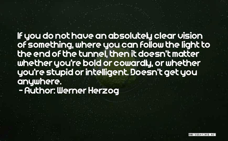 Absolutely Stupid Quotes By Werner Herzog