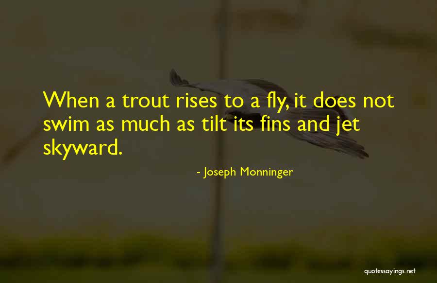 Absolutos Morales Quotes By Joseph Monninger Absolutos Morales Quotes By Joseph Monninger