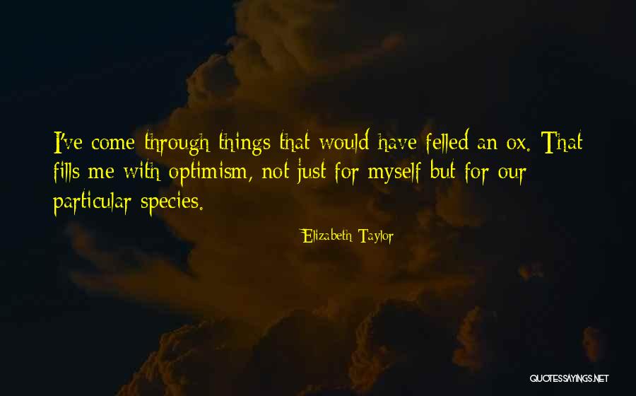 Absorbentes Quotes By Elizabeth Taylor Absorbentes Quotes By Elizabeth Taylor