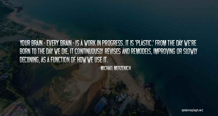 Absorci N De Nutrientes Quotes By Michael Merzenich Absorci N De Nutrientes Quotes By Michael Merzenich