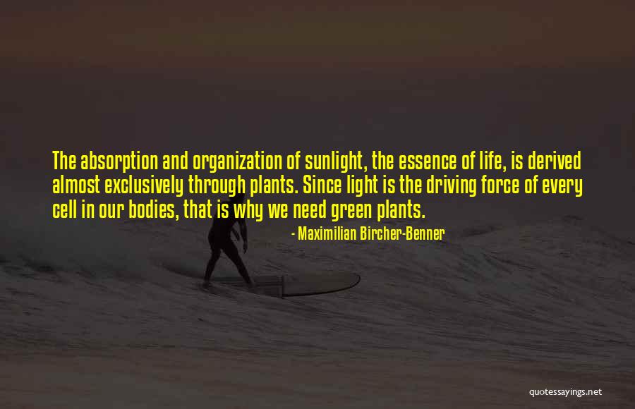 Absorption Quotes By Maximilian Bircher-Benner Absorption Quotes By Maximilian Bircher-Benner