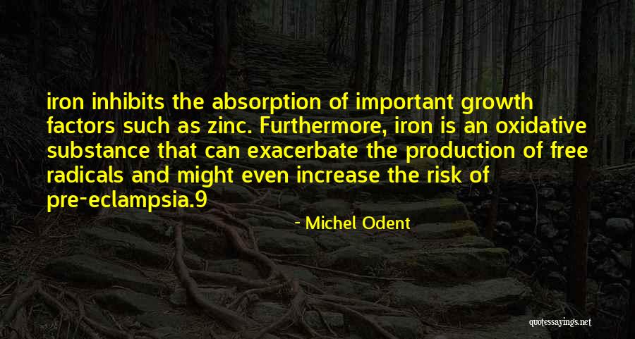 Absorption Quotes By Michel Odent