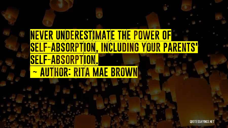 Absorption Quotes By Rita Mae Brown