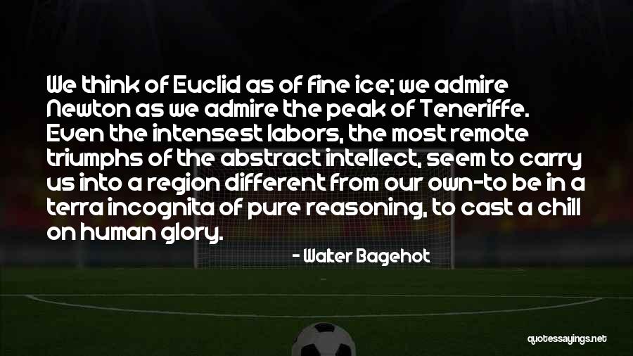 Abstract Reasoning Quotes By Walter Bagehot