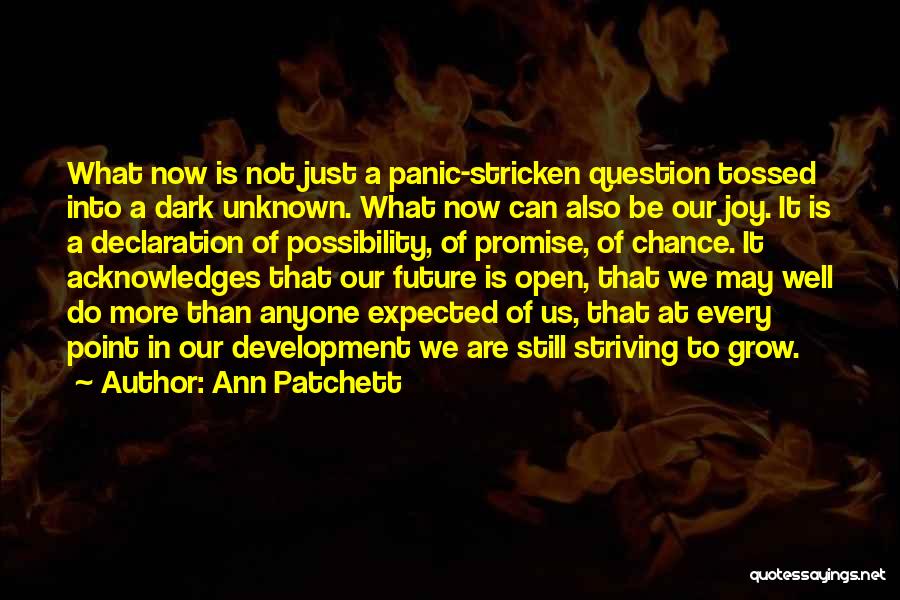 Abstracta Venezuela Quotes By Ann Patchett