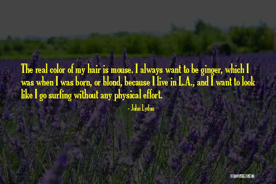 Abstractedness Quotes By John Lydon Abstractedness Quotes By John Lydon