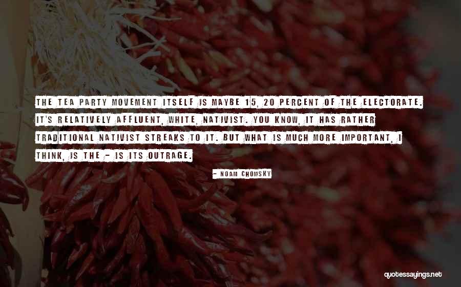 Abstractionist Paul Quotes By Noam Chomsky Abstractionist Paul Quotes By Noam Chomsky