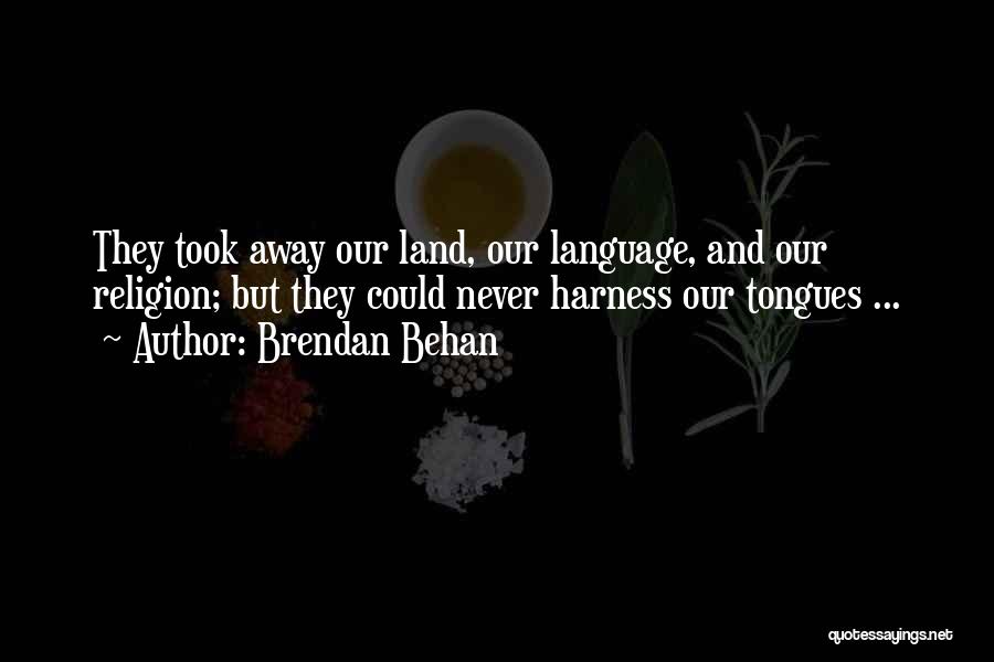 Absurda Definicion Quotes By Brendan Behan