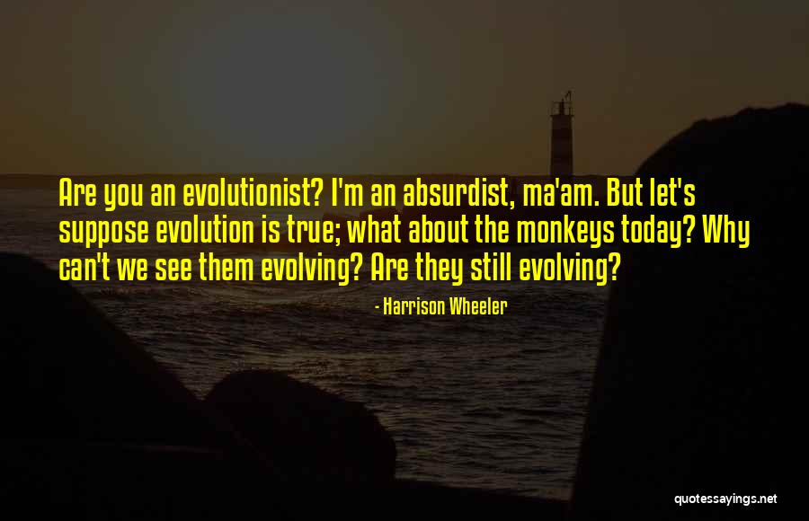 Absurdist Absurdist Quotes By Harrison Wheeler Absurdist Absurdist Quotes By Harrison Wheeler