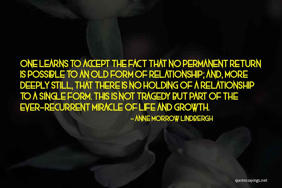 Absurdistan By Gary Quotes By Anne Morrow Lindbergh Absurdistan By Gary Quotes By Anne Morrow Lindbergh