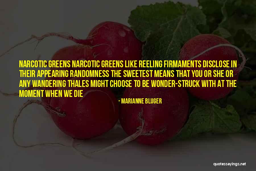 Absurdit Quotes By Marianne Bluger Absurdit Quotes By Marianne Bluger