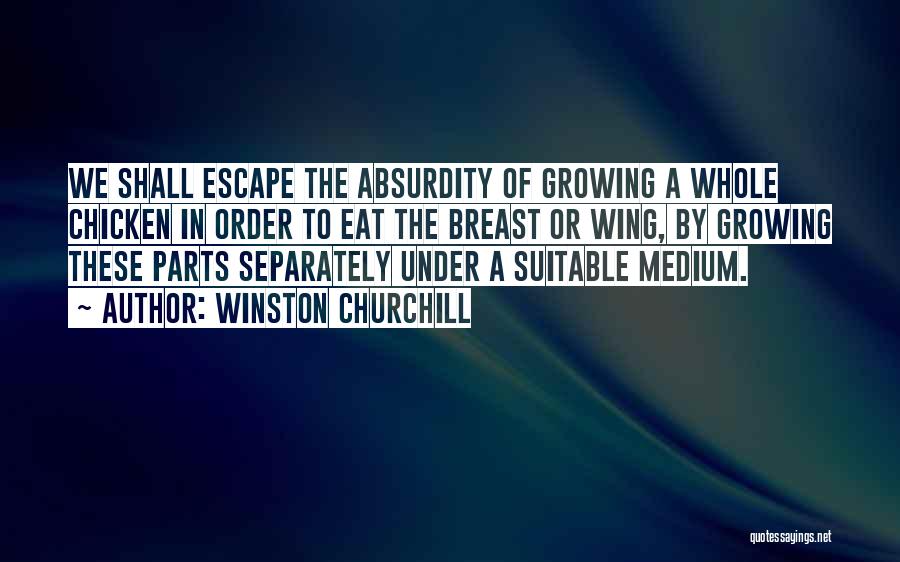 Absurdity Quotes By Winston Churchill