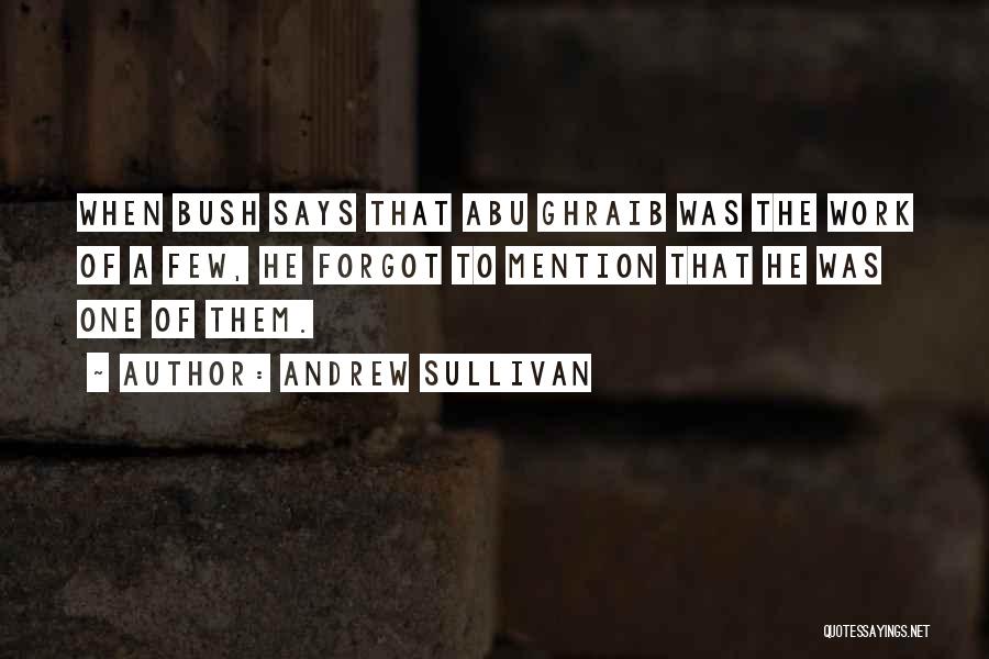 Abu Ghraib Quotes By Andrew Sullivan