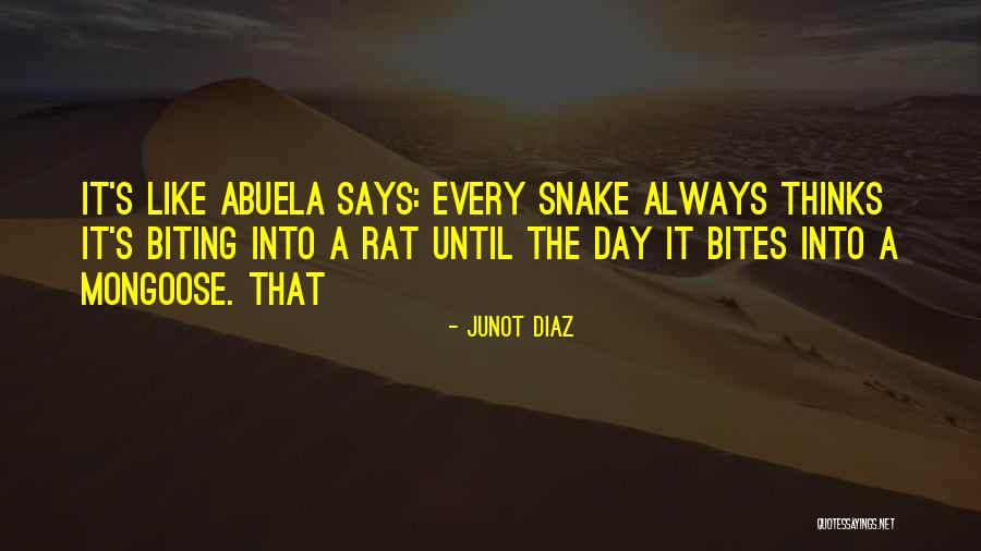 Abuela Quotes By Junot Diaz