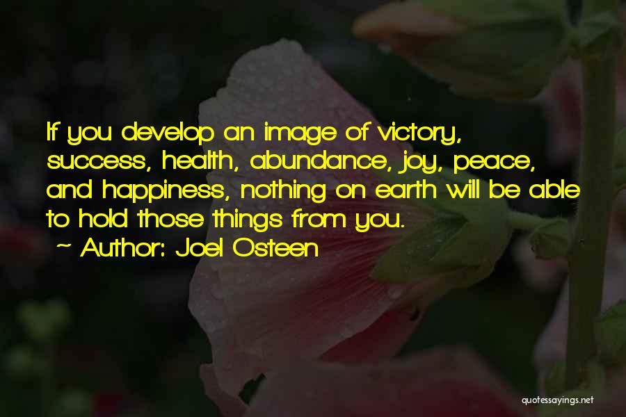 Abundance And Happiness Quotes By Joel Osteen