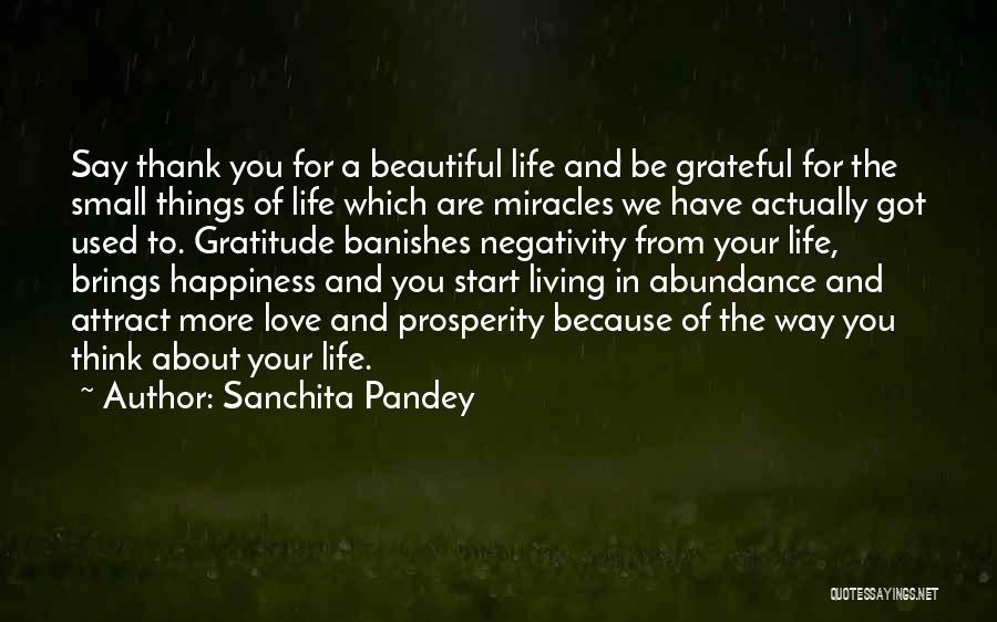 Abundance And Happiness Quotes By Sanchita Pandey