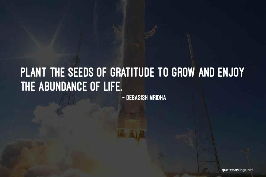 Abundance And Love Quotes By Debasish Mridha Abundance And Love Quotes By Debasish Mridha