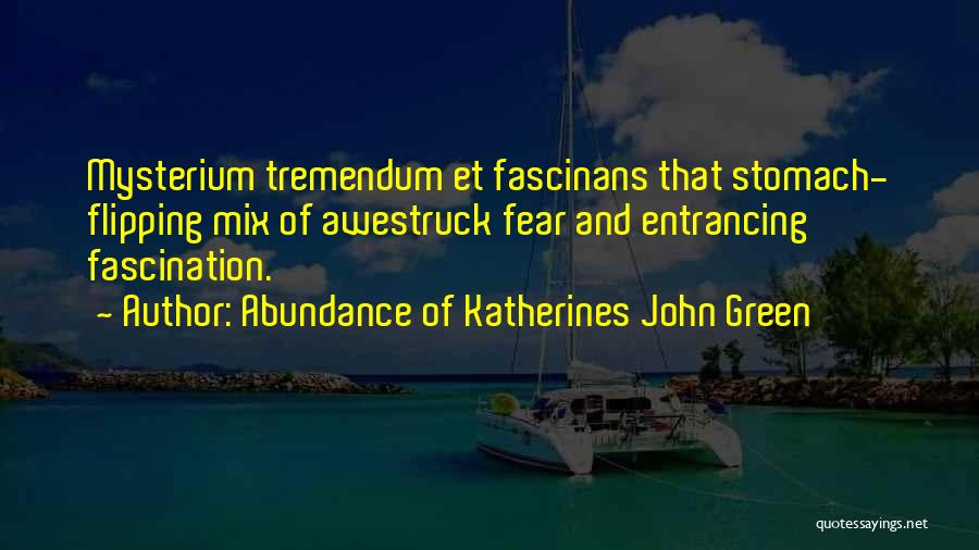 Abundance Of Katherines John Green Quotes 1662836