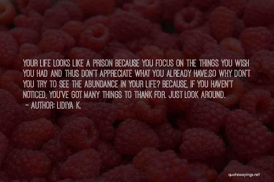 Abundance Quotes By Lidiya K.