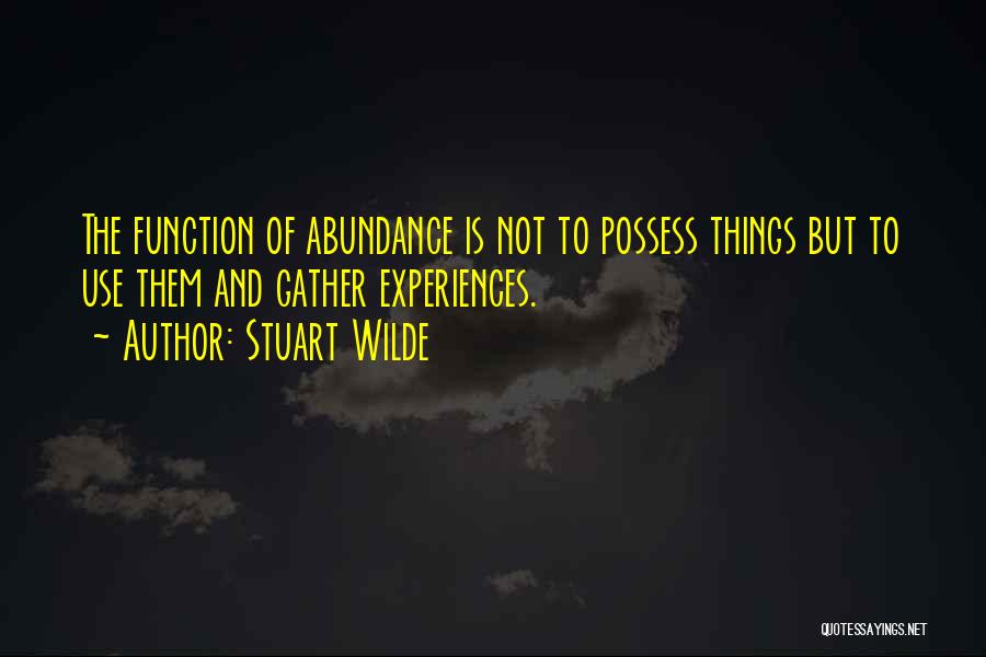 Abundance Quotes By Stuart Wilde