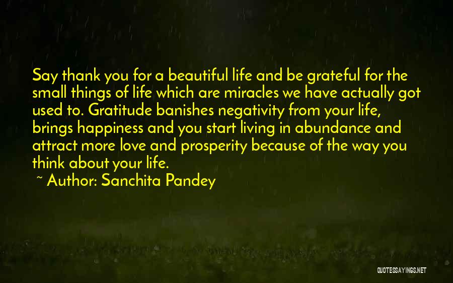 Abundance Thinking Quotes By Sanchita Pandey