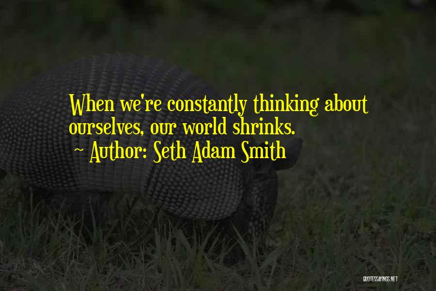 Abundance Thinking Quotes By Seth Adam Smith