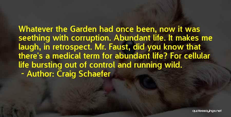 Abundant Life Quotes By Craig Schaefer