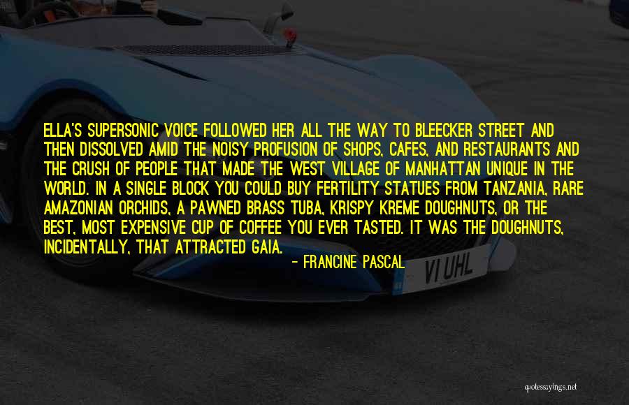 Abusadong Tao Quotes By Francine Pascal Abusadong Tao Quotes By Francine Pascal