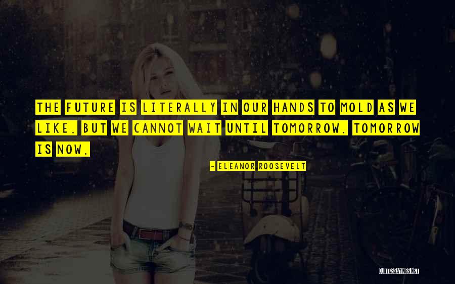Abusamieh Quotes By Eleanor Roosevelt Abusamieh Quotes By Eleanor Roosevelt