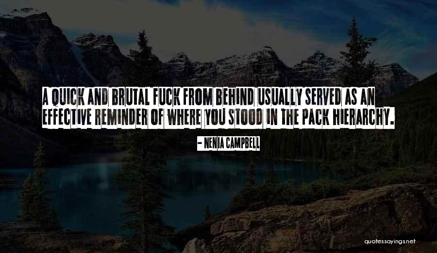 Abuse Of Animals Quotes By Nenia Campbell Abuse Of Animals Quotes By Nenia Campbell