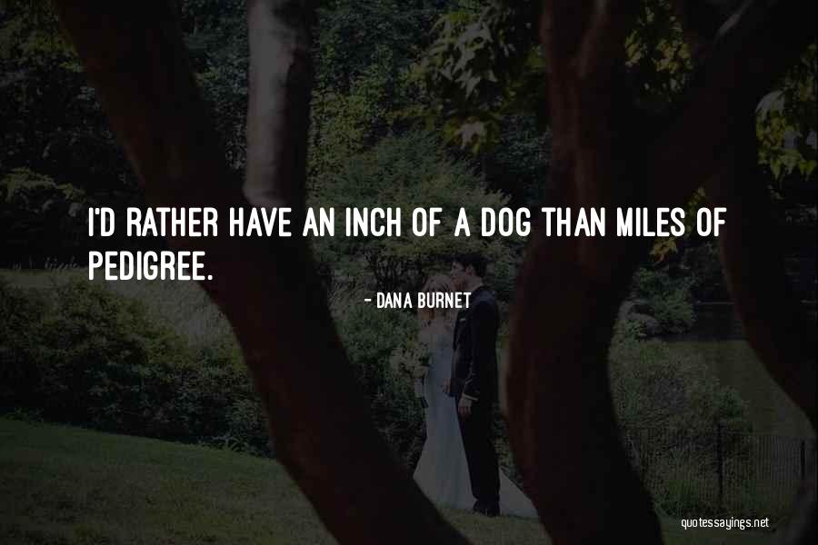 Abuse Of Public Authority Quotes By Dana Burnet Abuse Of Public Authority Quotes By Dana Burnet