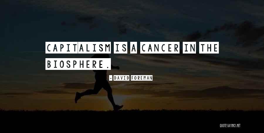 Abutine Quotes By David Foreman Abutine Quotes By David Foreman